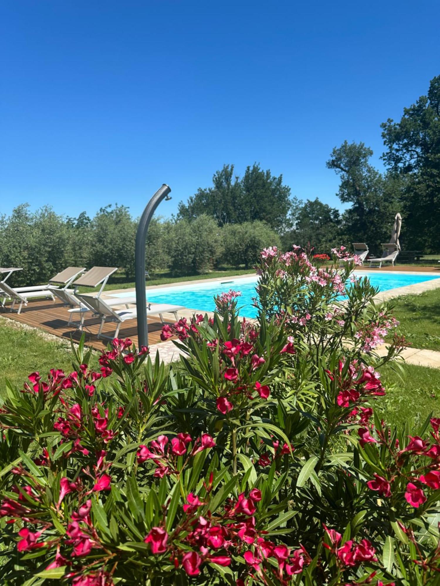 Podere Selvatici Imola Exteriér fotografie